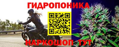 соль ск Нальчик