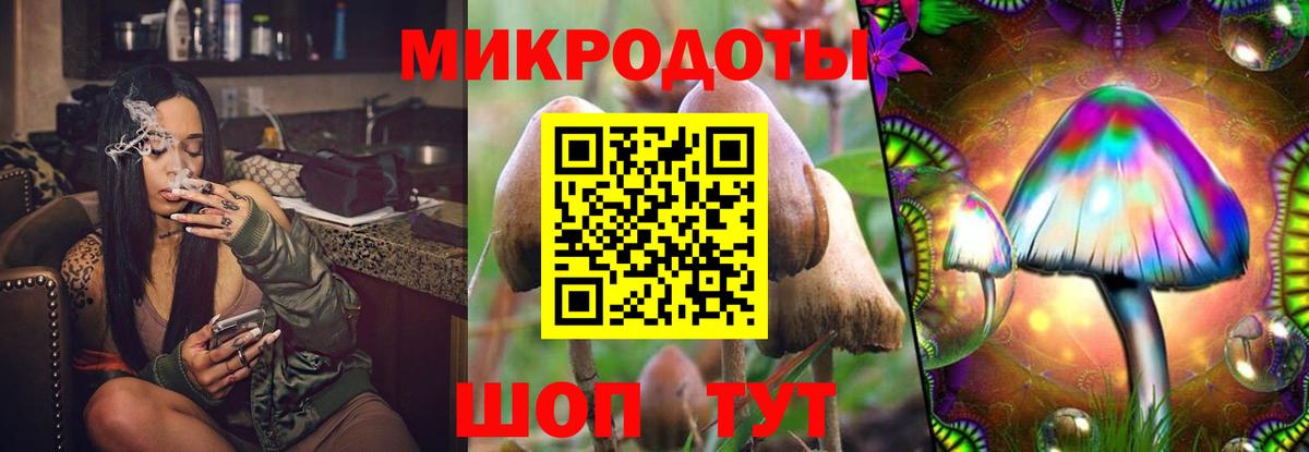 Галлюциногенные грибы мухоморы  Вход с VPN  Славгород 